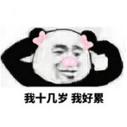 暴走斗图熊猫QQ表情包下载 我十几岁我好累