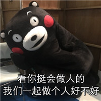 熊本熊强撩表情2