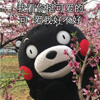 熊本熊强撩表情7